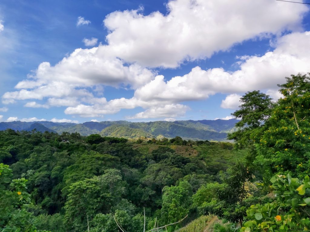 Forêts au Nicaragua